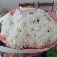 ангел нос