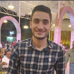 Ahmed Hegab