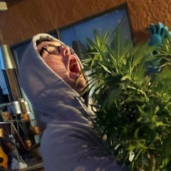 Druggy