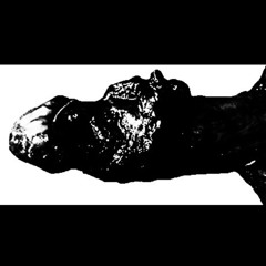 Degloved Cock