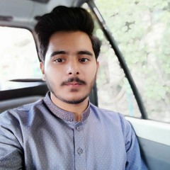 Muhammad Anas