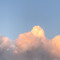rise