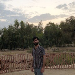 AliRaza