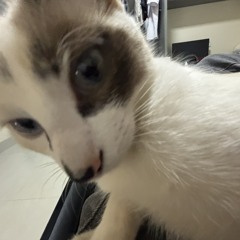 Altec-