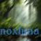 noxluna