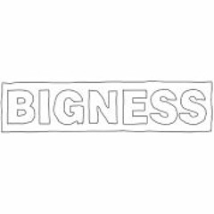 BignessInc