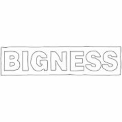 BignessInc