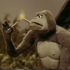 Black Eye Specialist