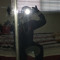 Youngen_Flacko