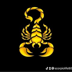 (SCORPIO 🦂 BOY 44)