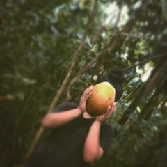 Krystal Lelay Gilmete