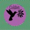 Colibri
