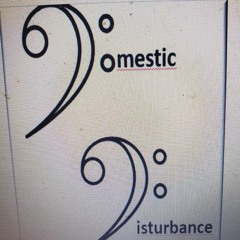 Domestic Disturbance Productions