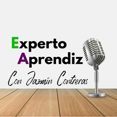 Experto Aprendiz