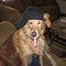 izzy hendrix
