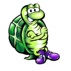 TURTLE DNB PROJECT