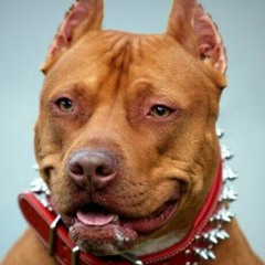 MC IAN VICENTE VIDEIRA LEAL 1500