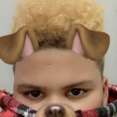 King Dreyhan