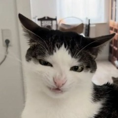 [çhiļdpŗedator] vm.km