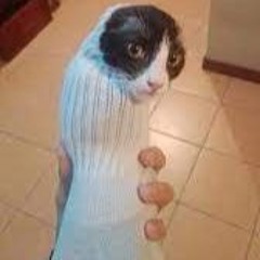 Uraniumcatnip