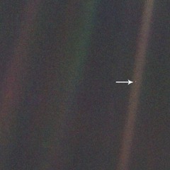 Stephan Reimers-Dahl 1