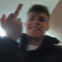 honzikk_d
