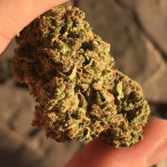 Alexvndr420