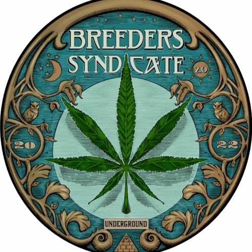 Breeders Syndicate 2.0 Podcast’s avatar