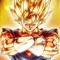 the DBZ idiot