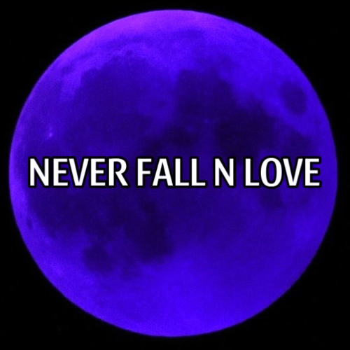 NEVER FALL N LOVE’s avatar