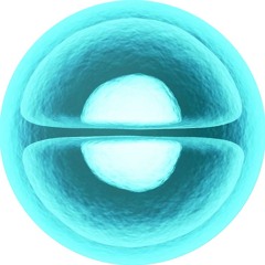 Digital Nucleus Audio