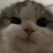 한예빈