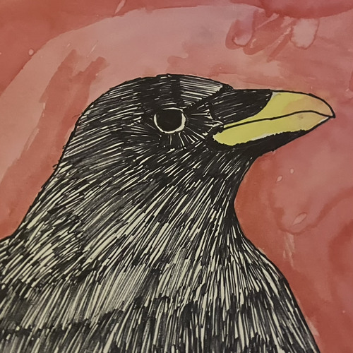 The Crow’s avatar