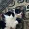 Kat
