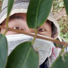 Văn Huy