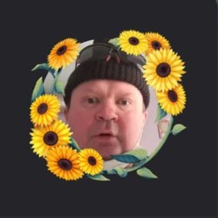 эвелинка