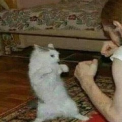 mαmαd
