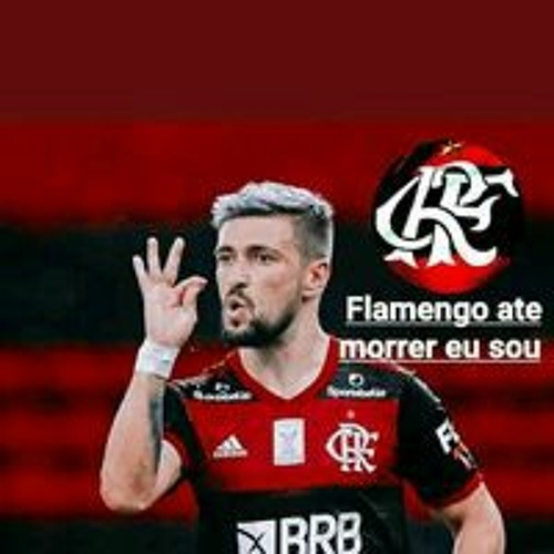 Lucas Ferreira Ferreira’s avatar