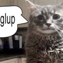 10dollarcat