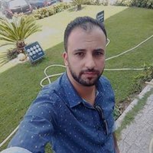 M Elsharkawy’s avatar