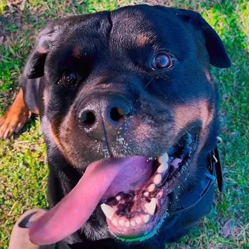 we talkin about pracice