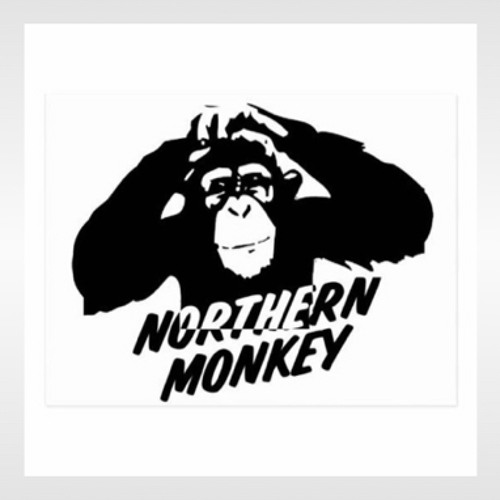 northern monkey’s avatar