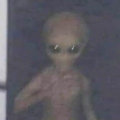 SlitwristHil [👻 SlitwristHil]