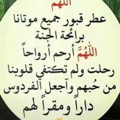 مجدى محي