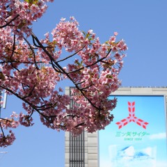 Stream はじめまして11111 music | Listen to songs, albums