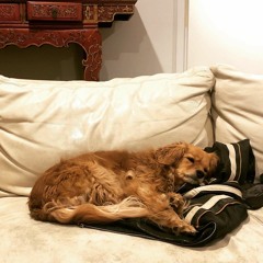 Marissa Bandharangshi