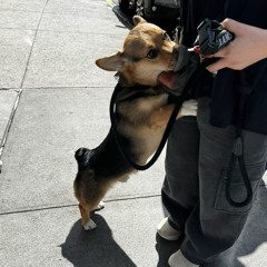 oli via