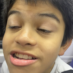 leo the nardo