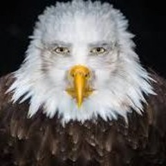Marvin Beak