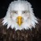 Marvin Beak